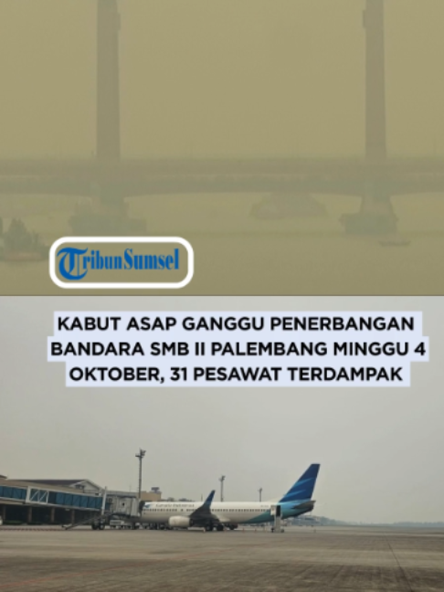 @Tribun Sumsel