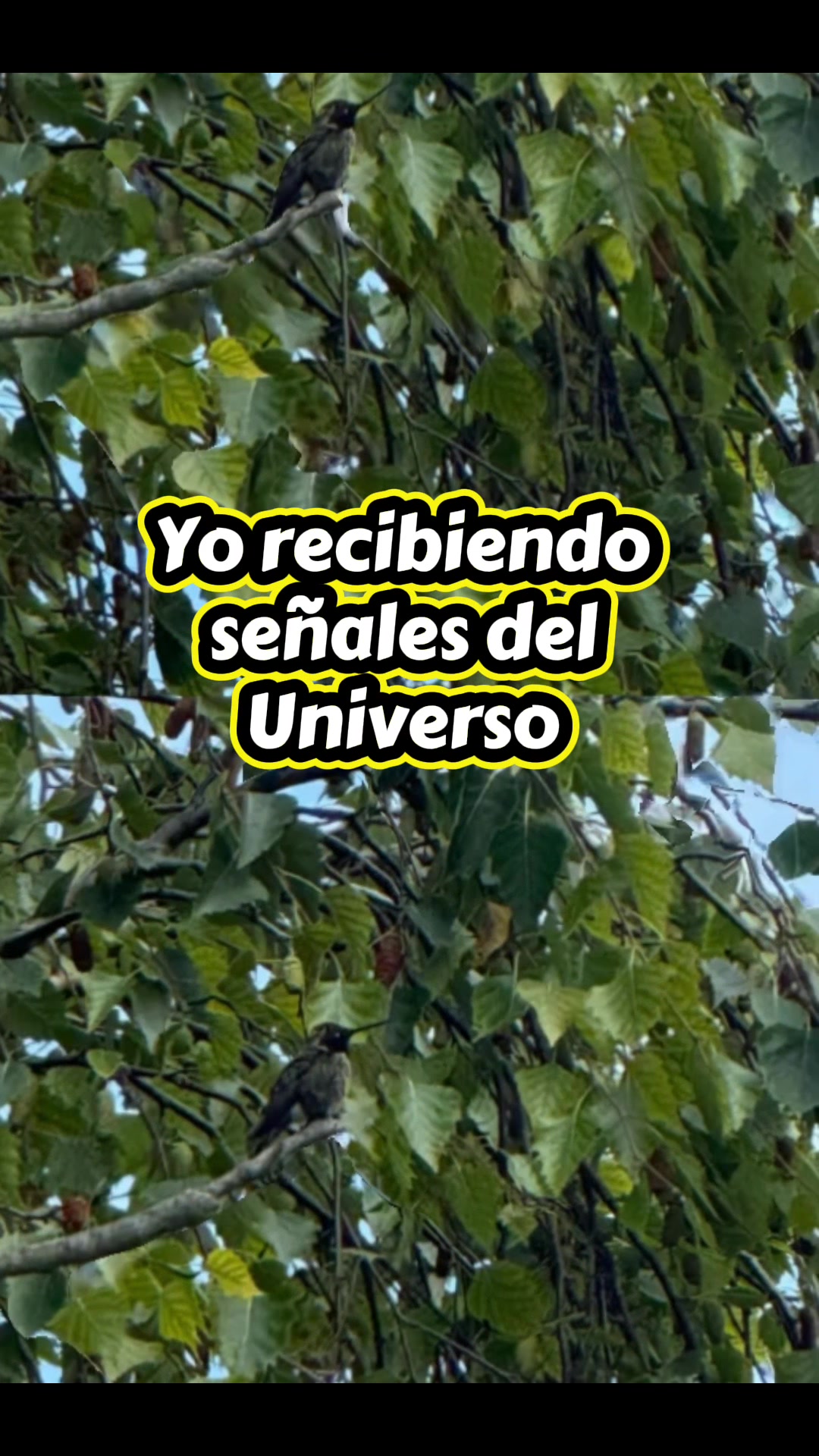 @Sandy