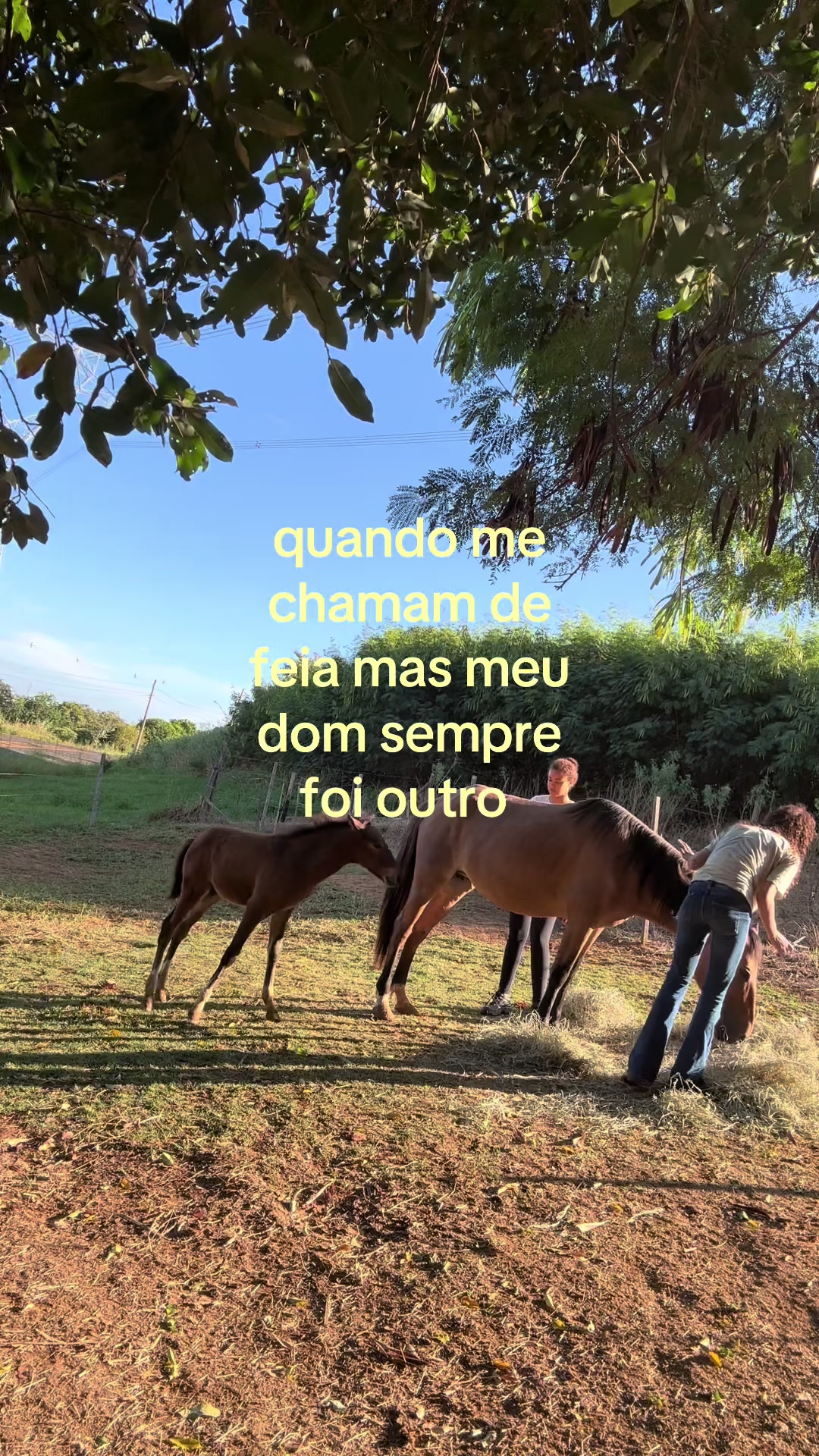 @dudxx