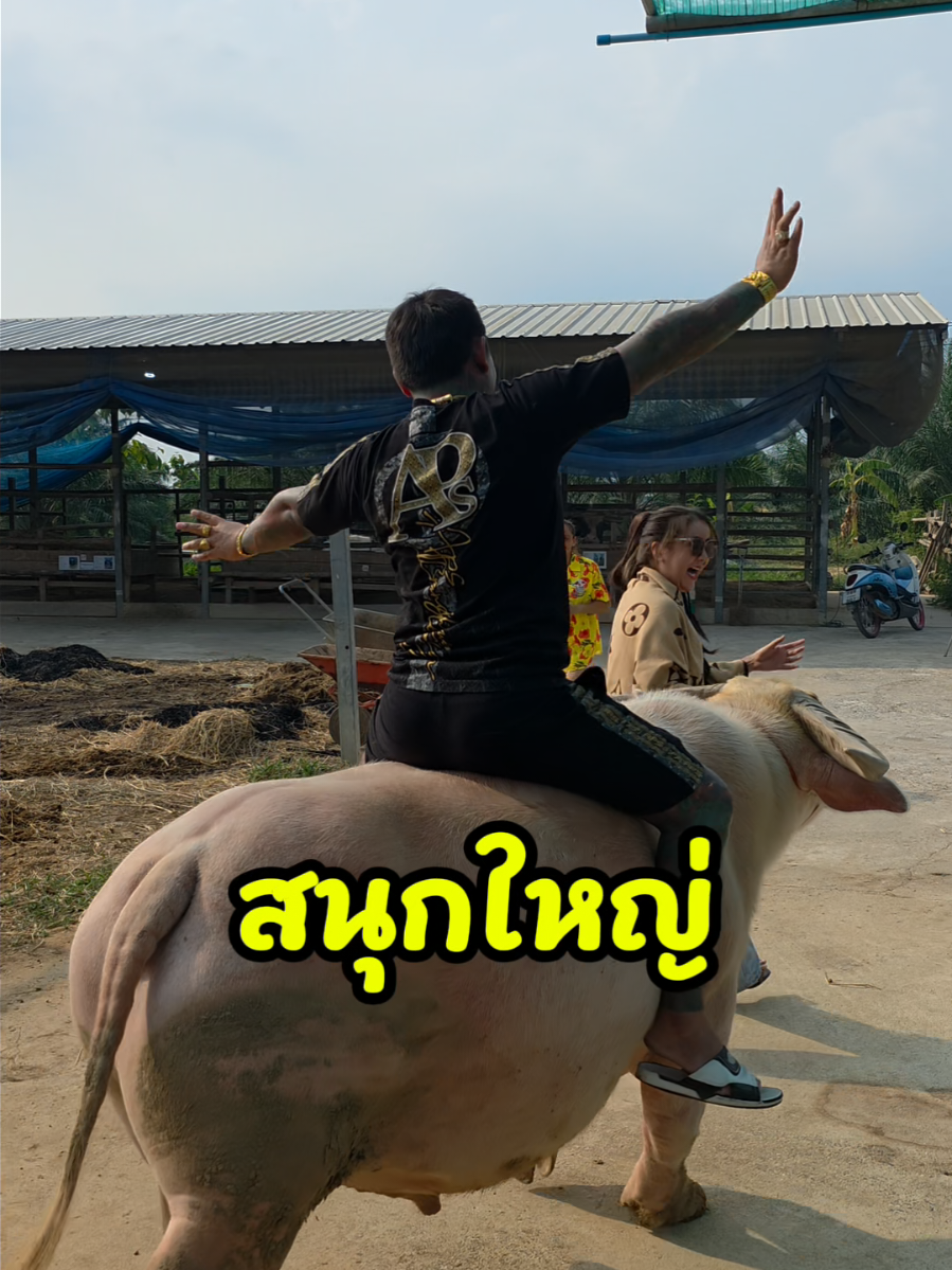 @เอ็ม ออนิว รังสิต ติ๊กต็อกใหม่