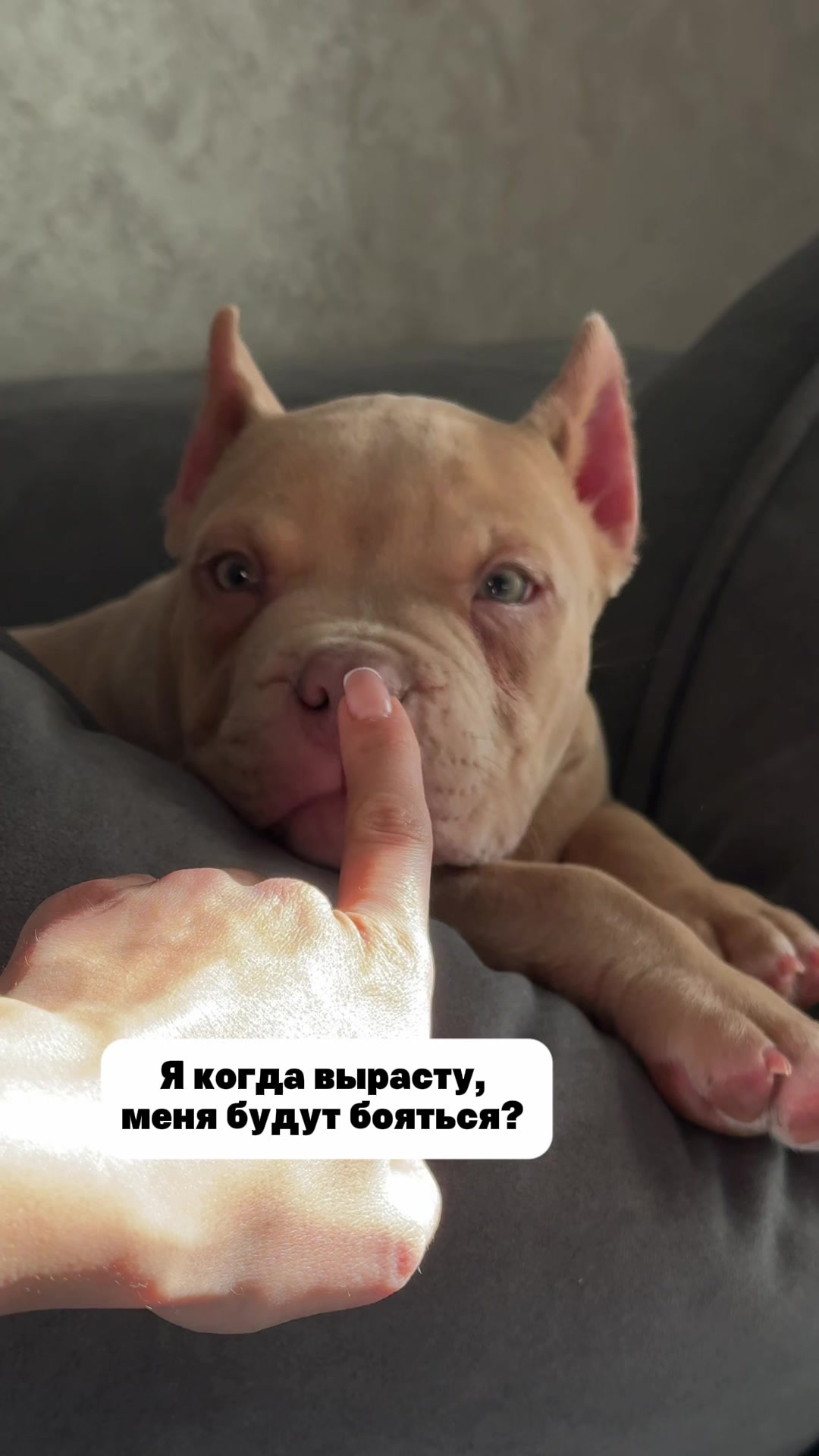 @Мария Богатырь