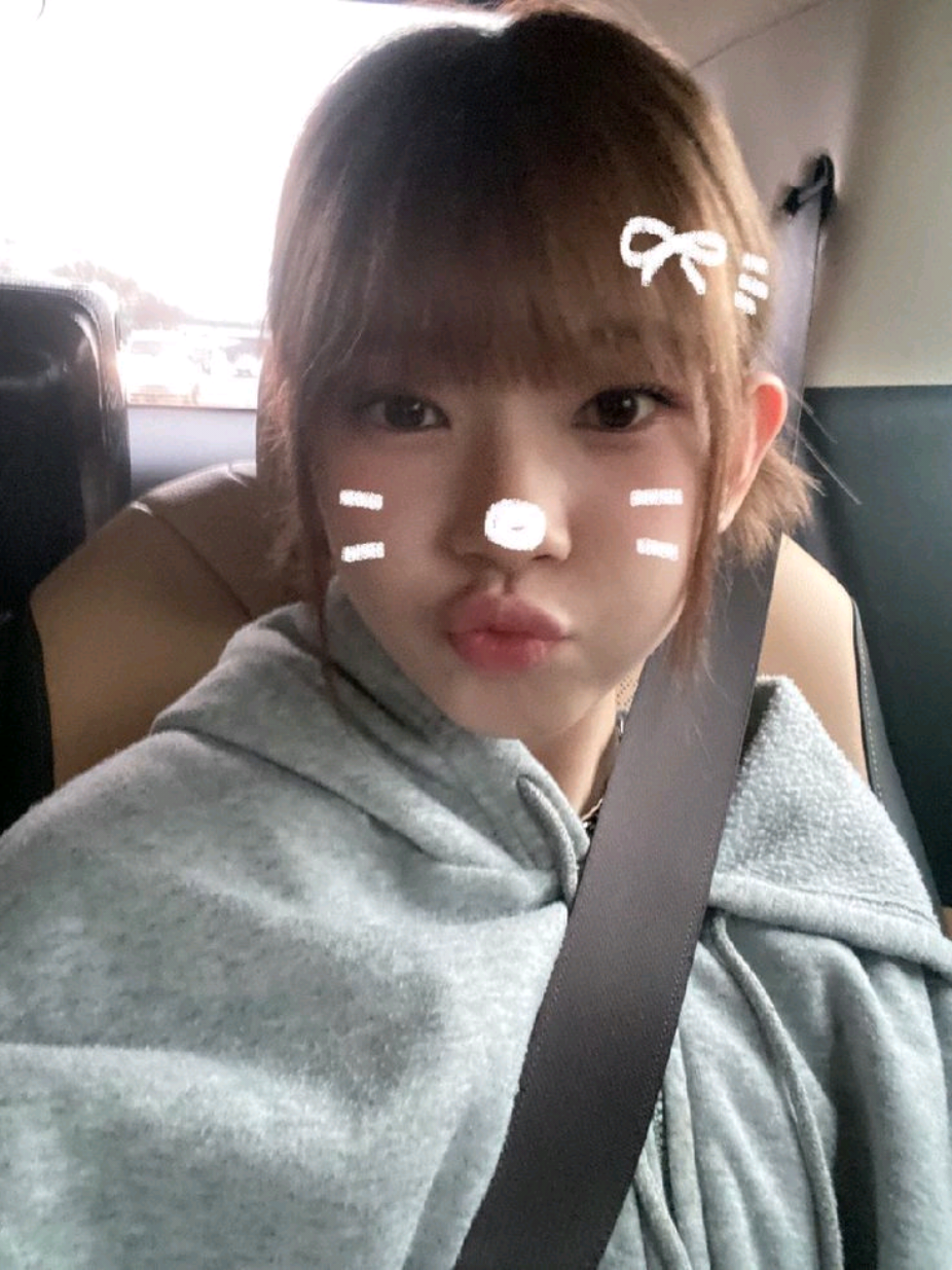 @🐈