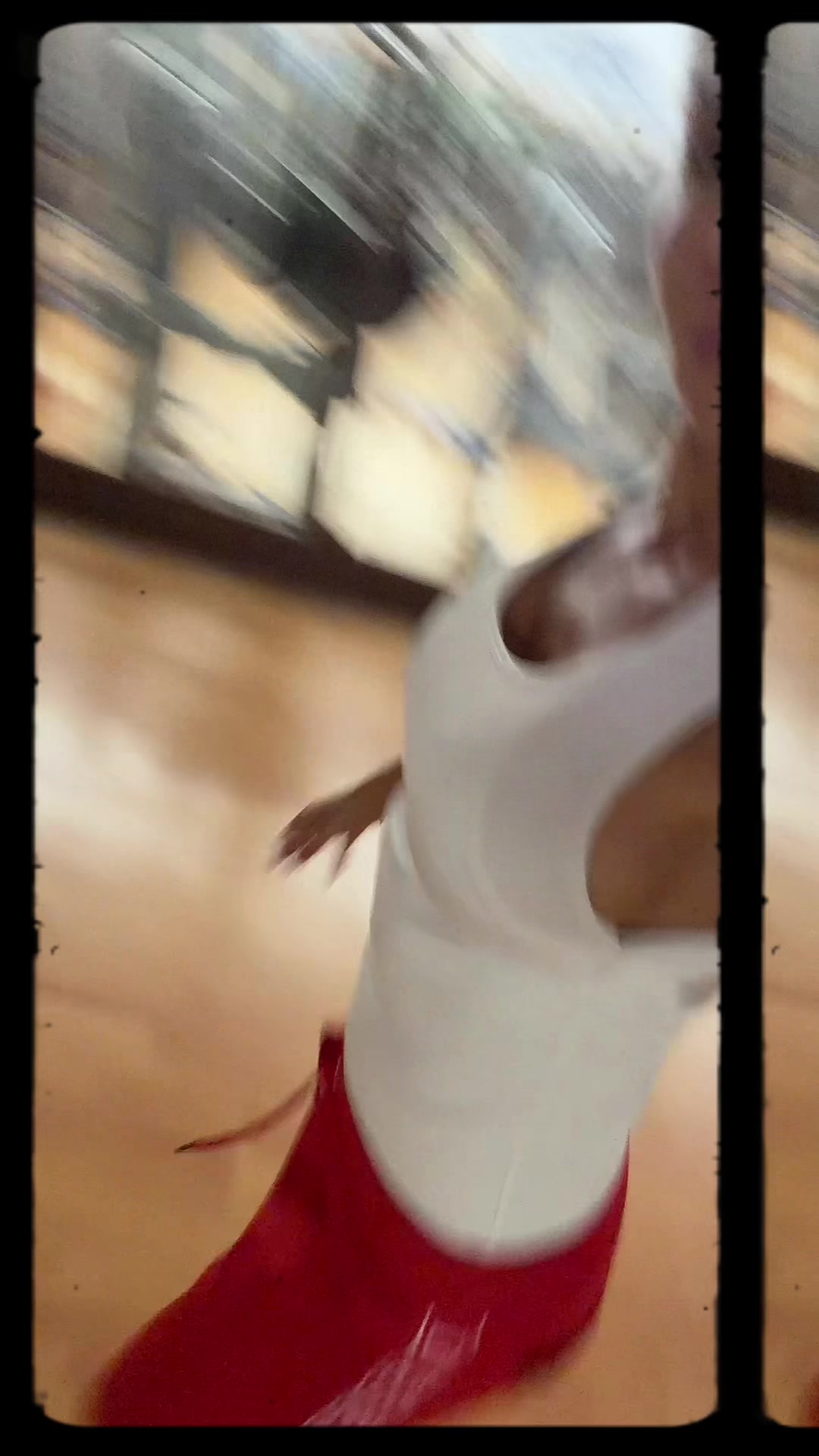 @stellaFitPro