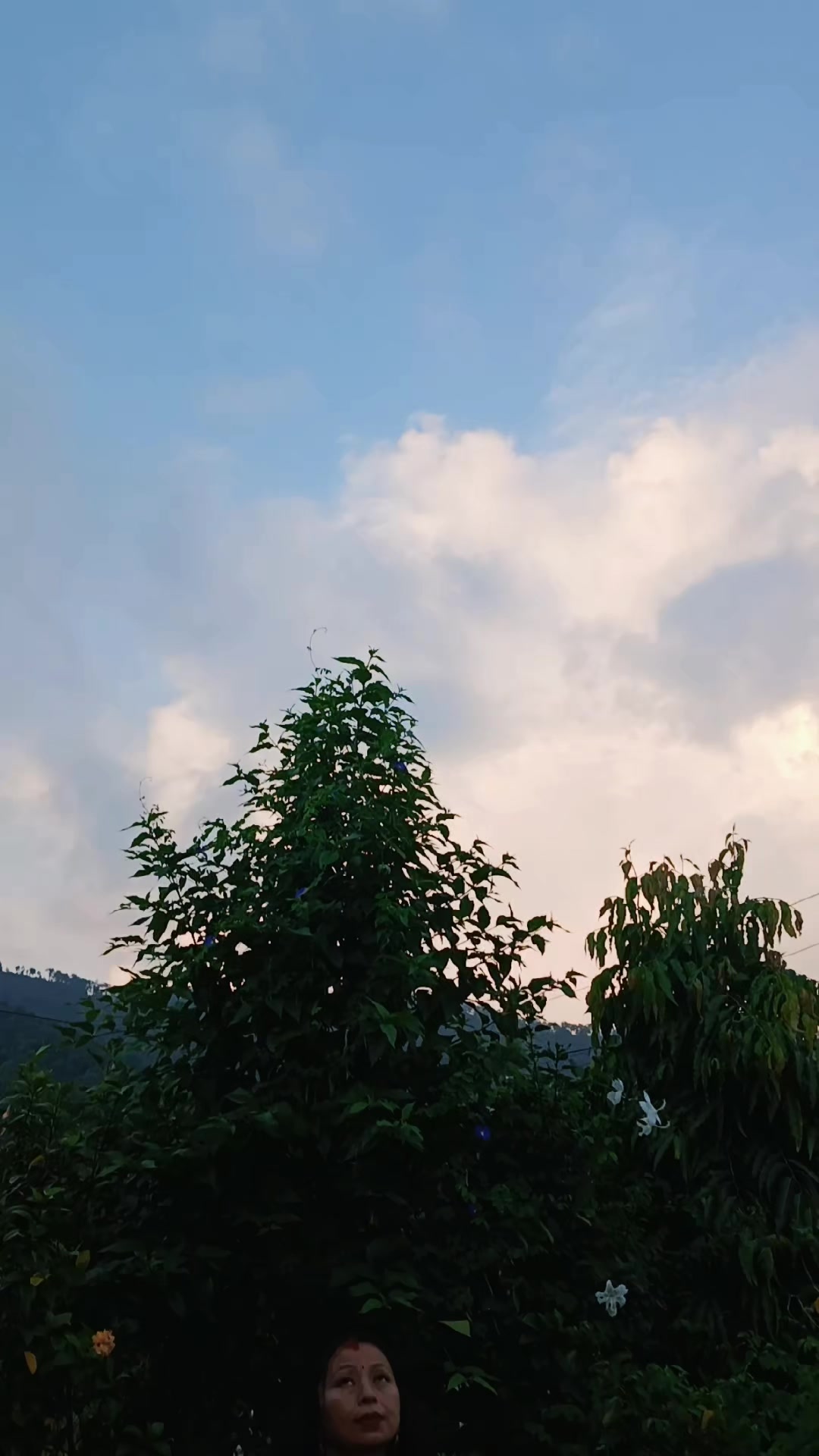 @seema rana564