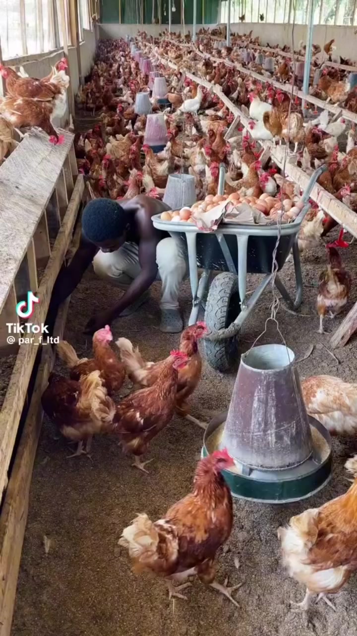 @Smart Farm Kenya