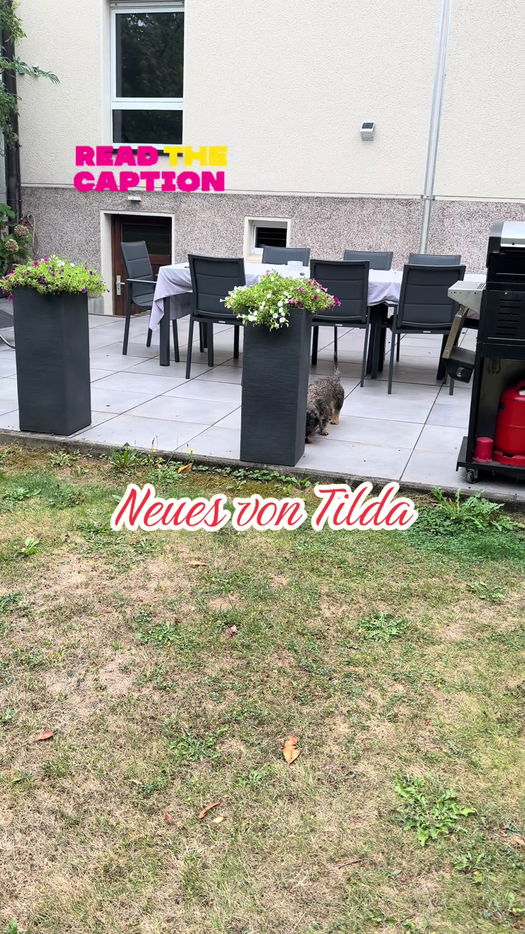 @Ichschützekinderundtiere