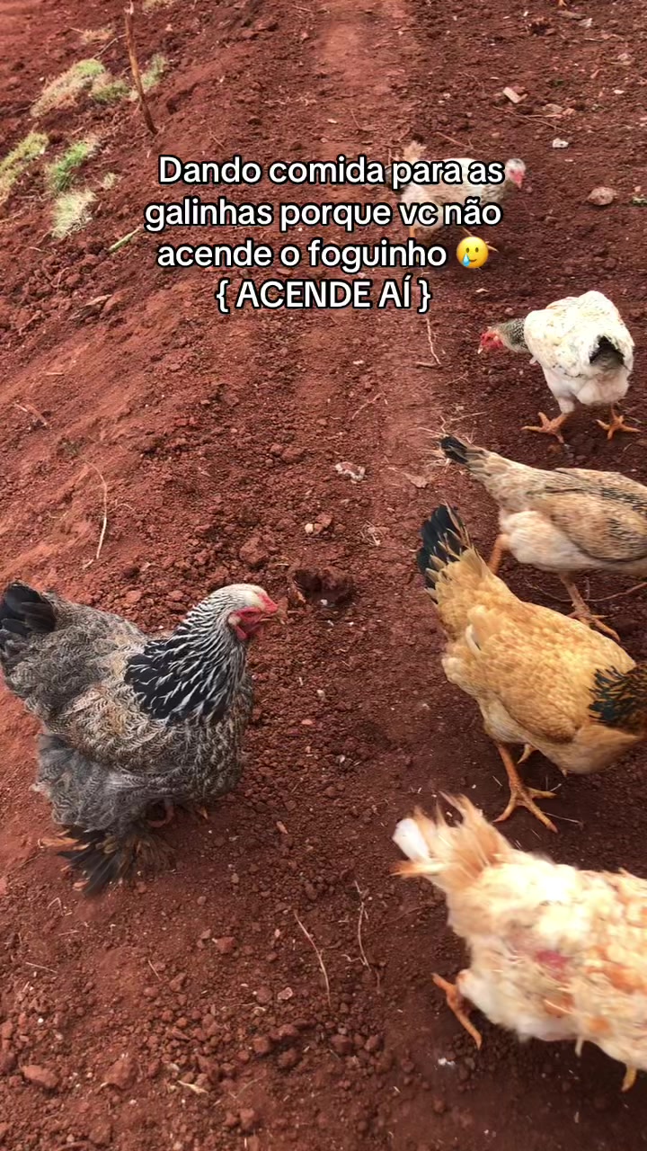 @Beca Mariano