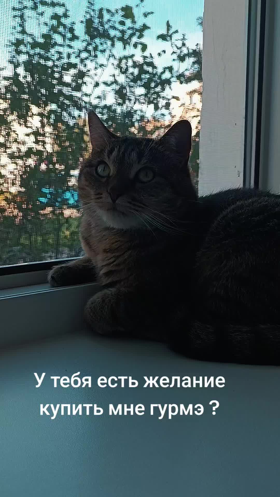 @Семья Стяговых
