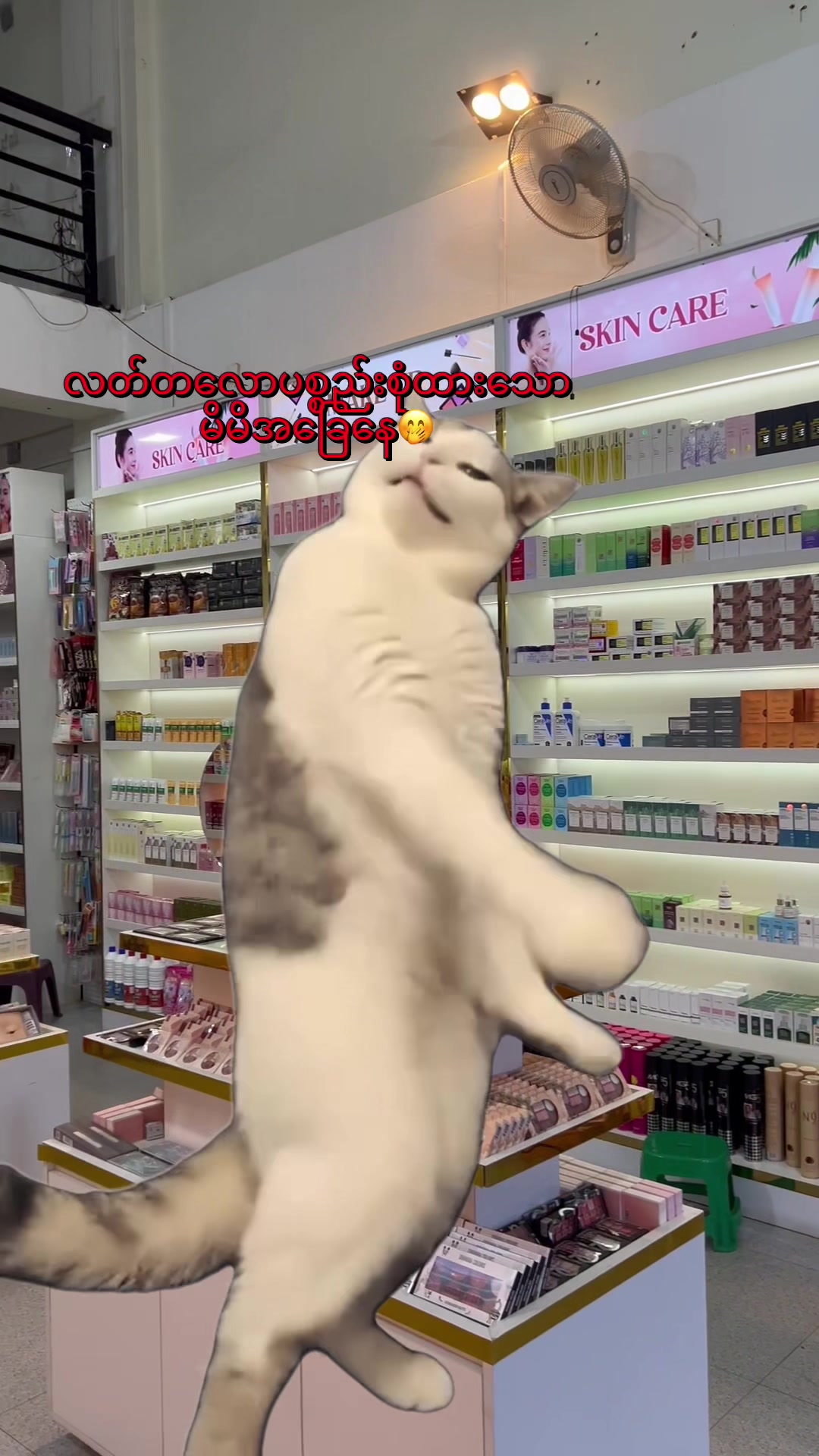 @NZNSTORE