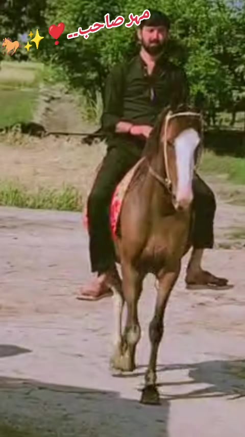 @مہر قیصرافتخارنمبردار..💥