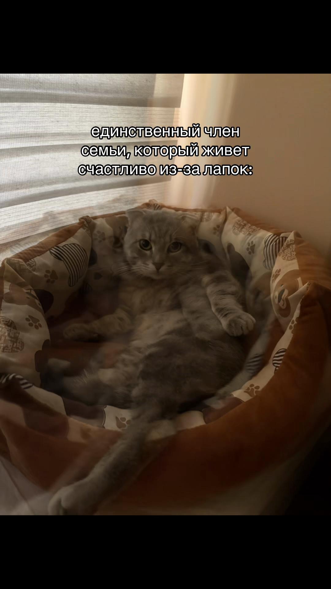 @Настя Техник