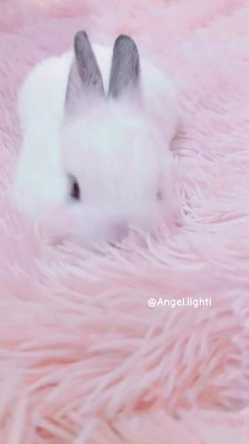 @๐ด๐๐๐๐๐ชฝ