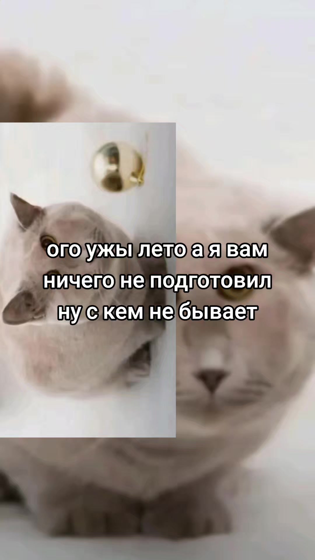 @Не наш слоняра 2