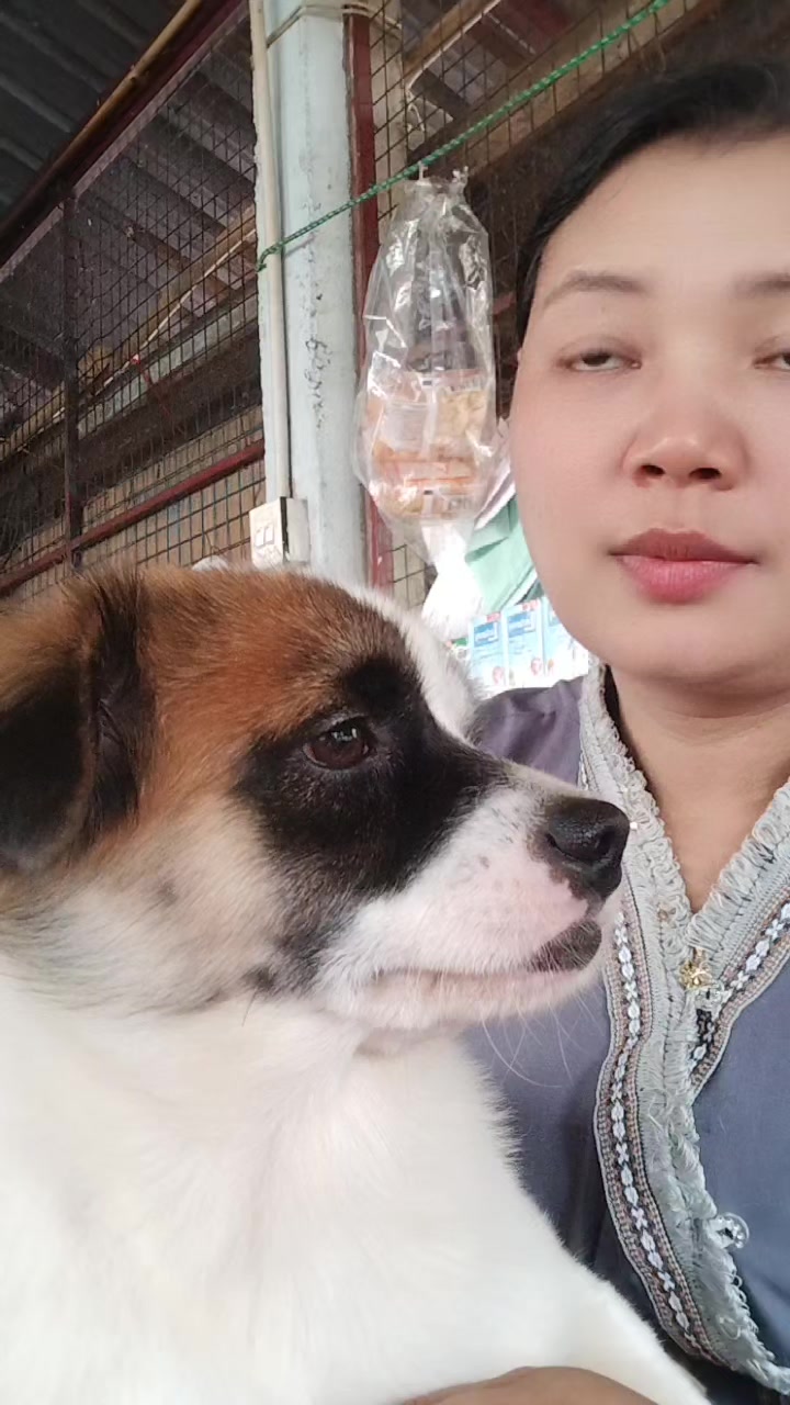 @Min Zaw9606