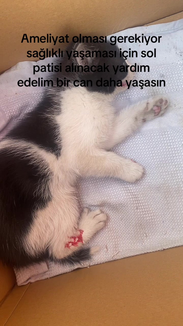 @İsimsiz
