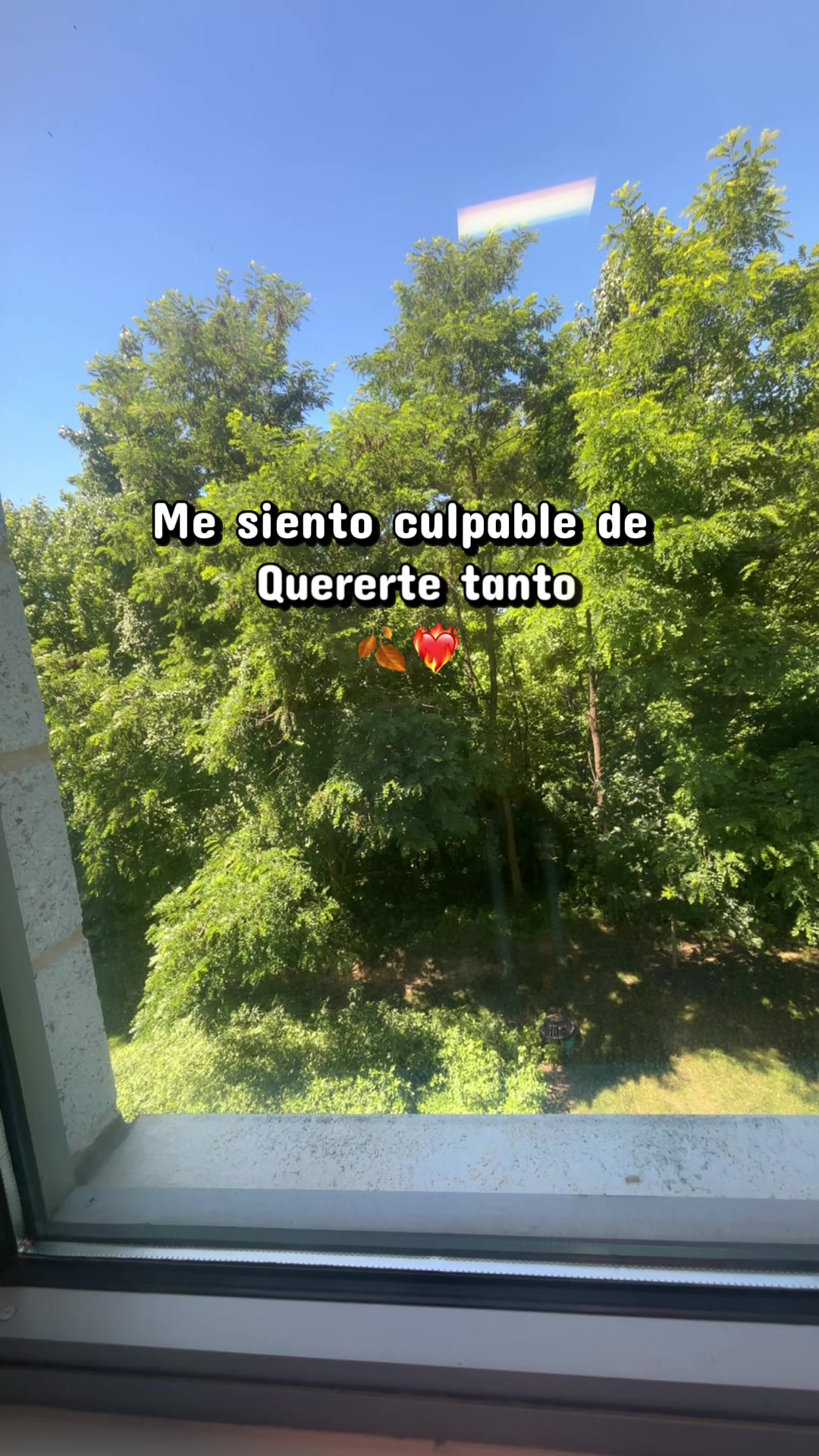 @💙🐛MI 🐇AMOR 🤠