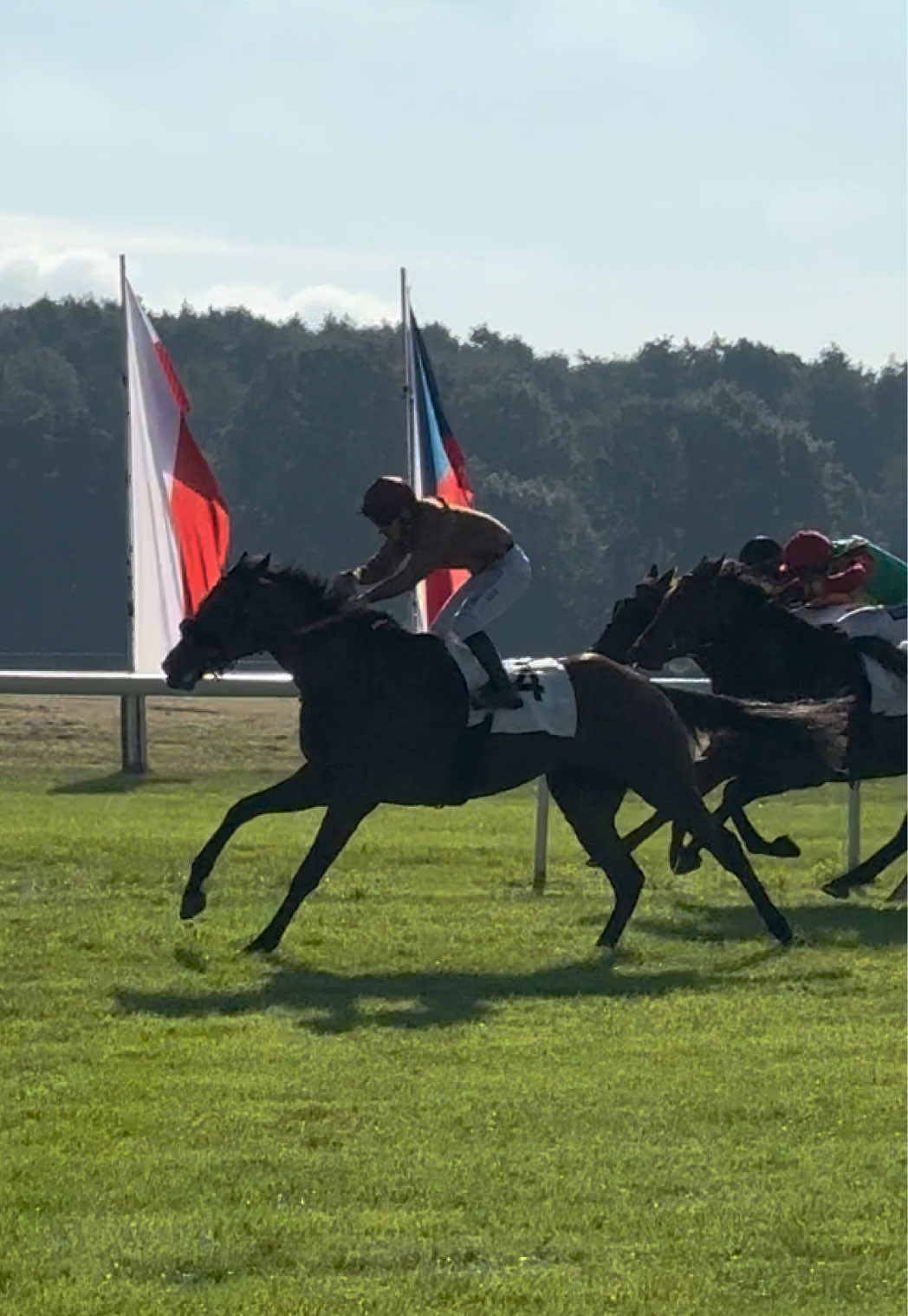 @Laura | German Horseracing