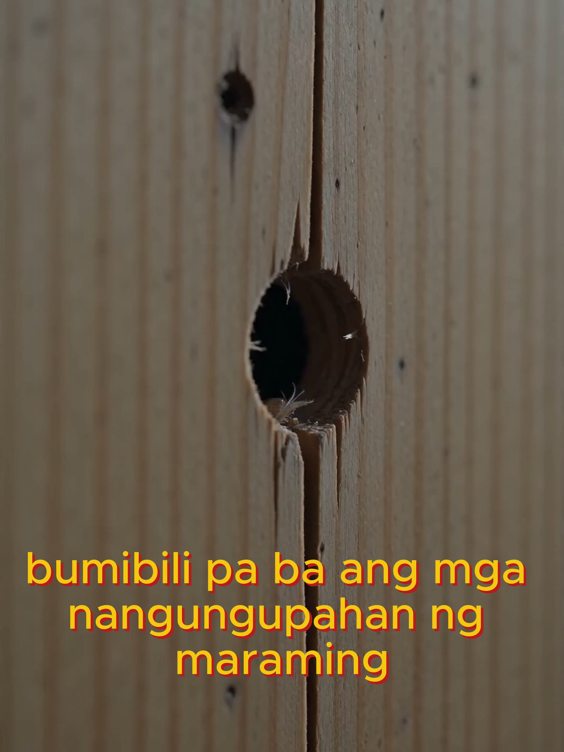 @ANTBOX PH