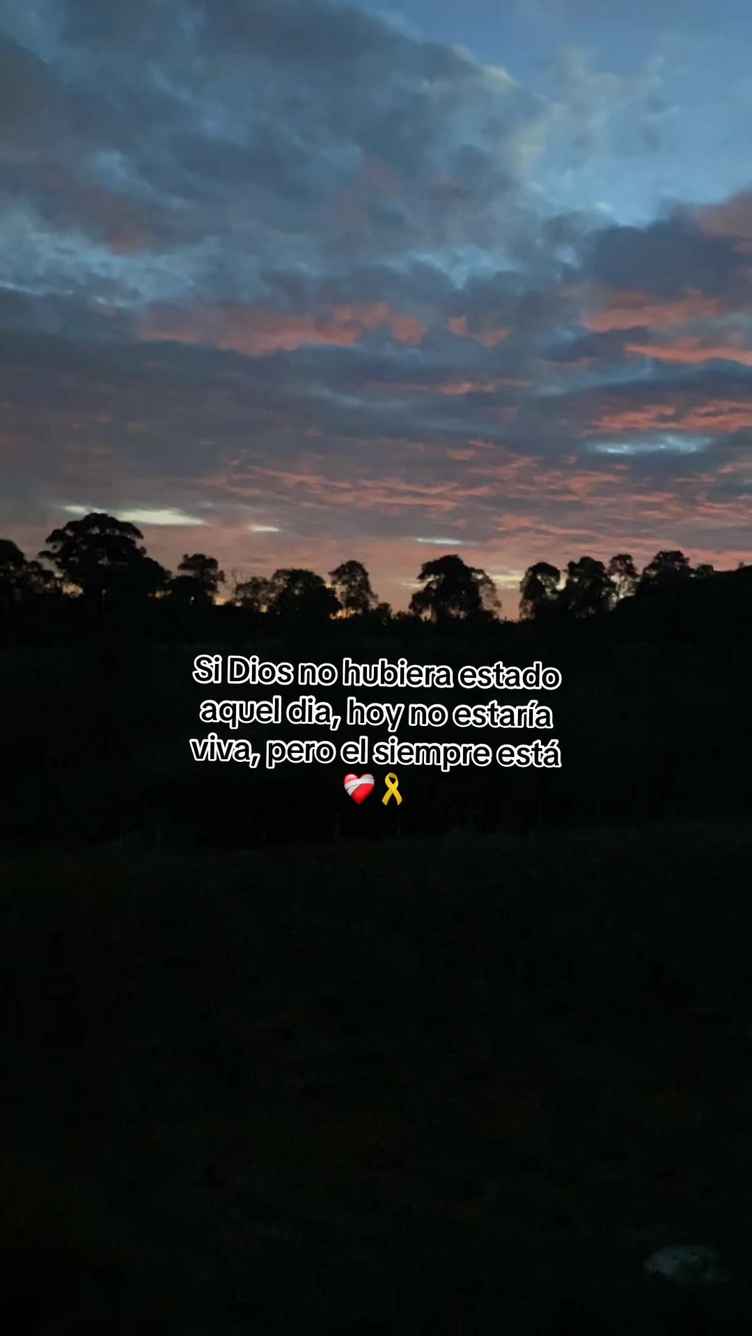 @Sara Sierra Saavedra