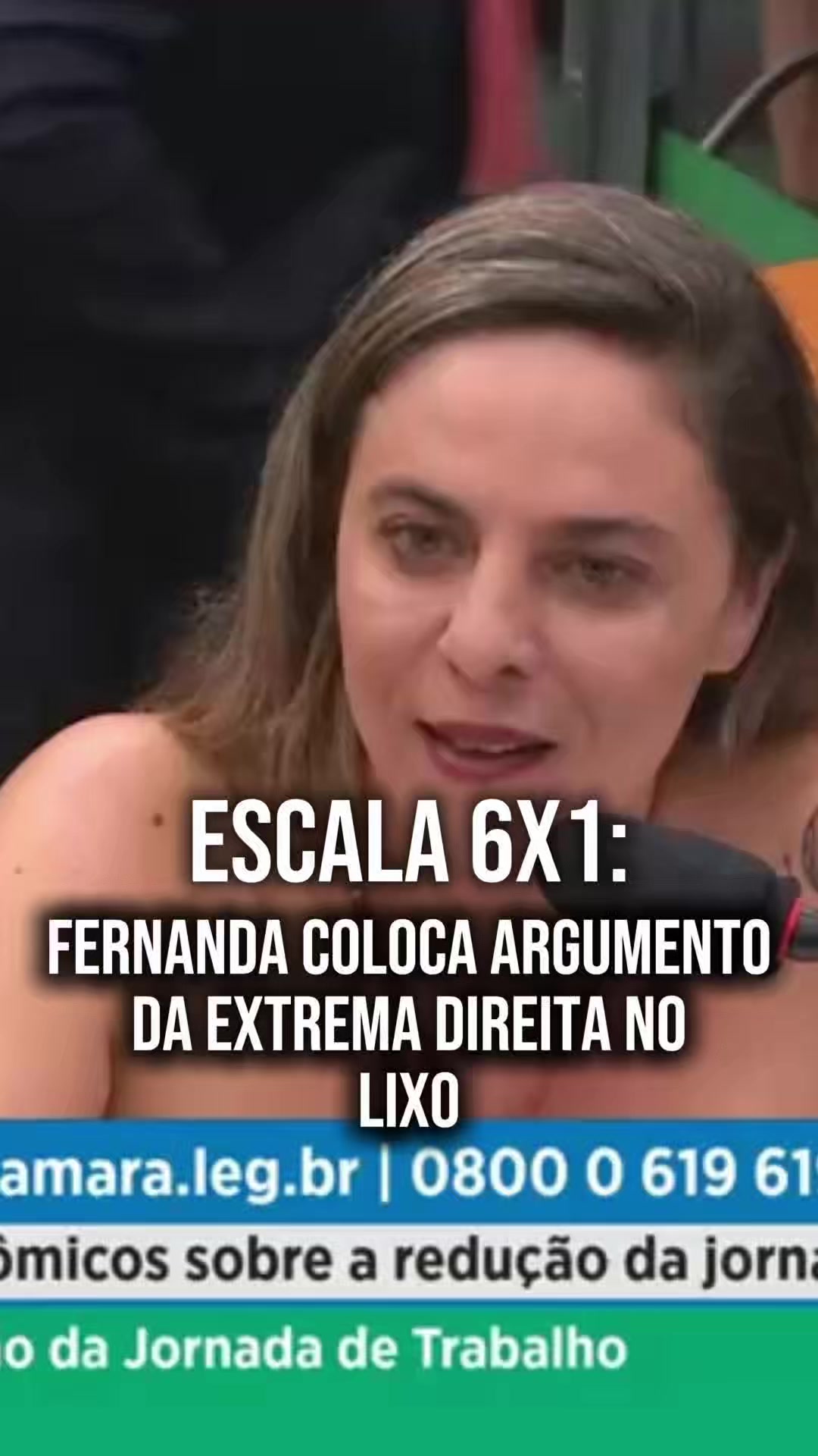 @Fernanda Melchionna