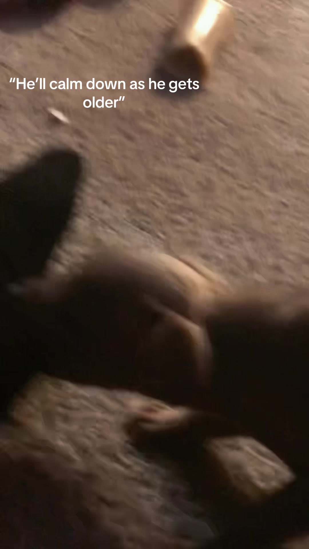 @Connerslifts