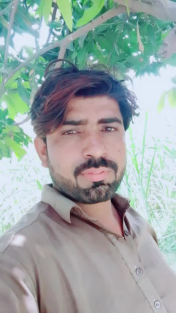 @abbasi