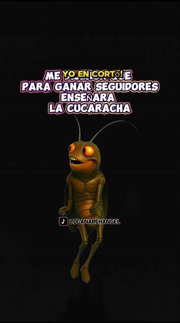 @mary aguirre