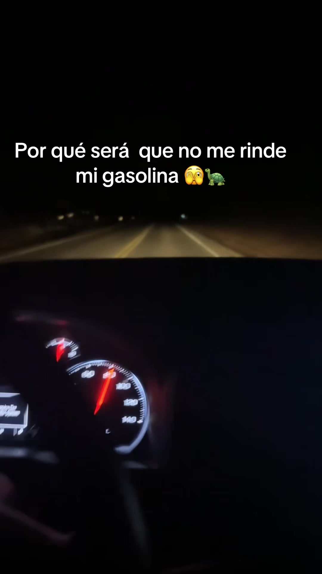 @🐢Astrita🐢