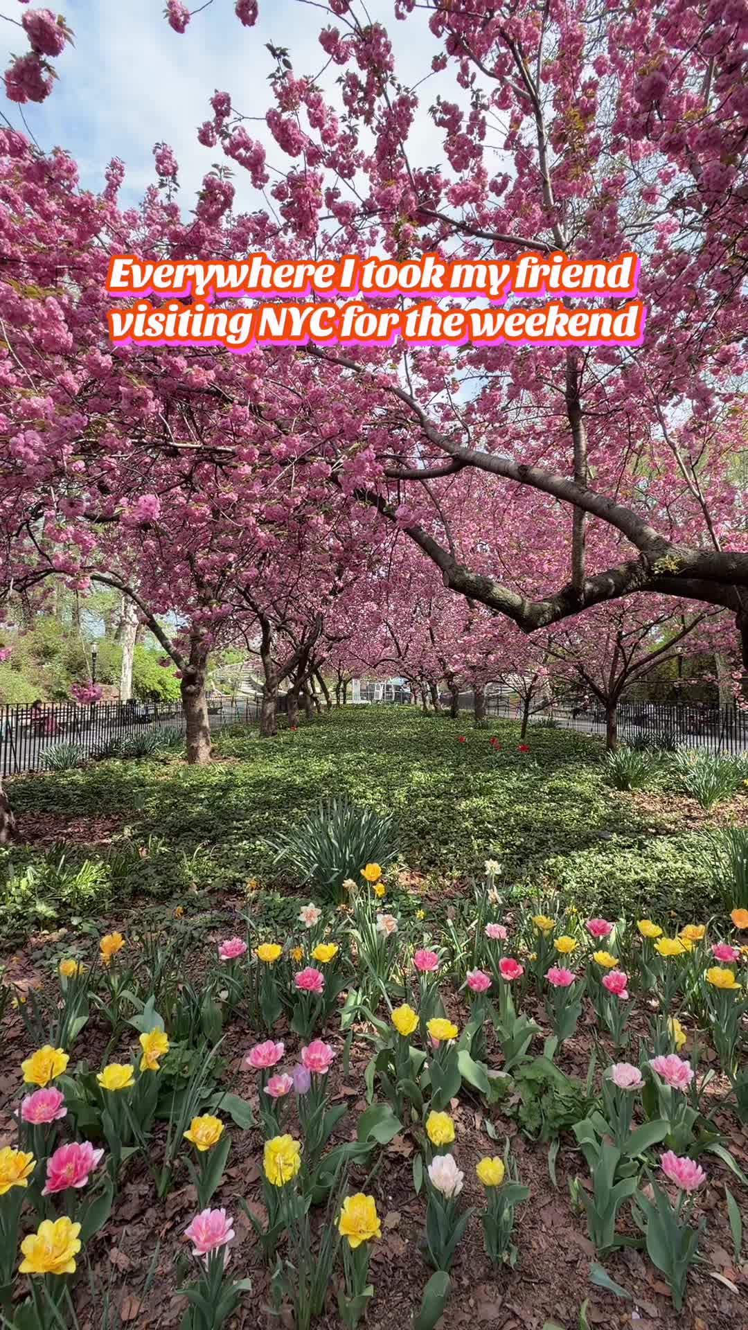 @Imola | NYC