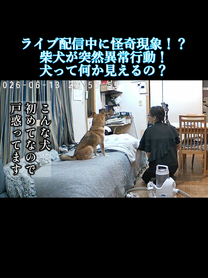 @川沿いに歩く妻サヲル