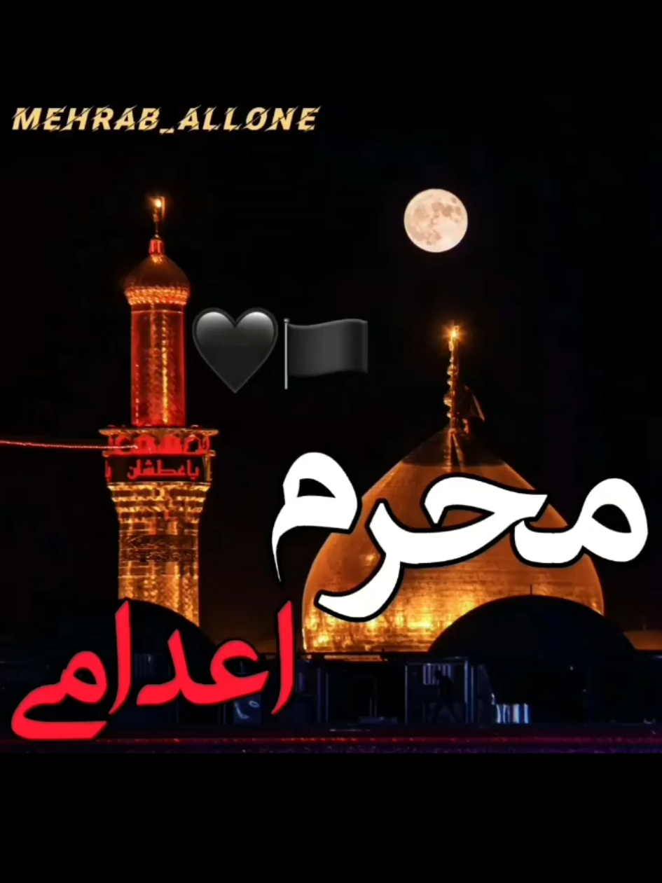 @Mehrab / مهراب