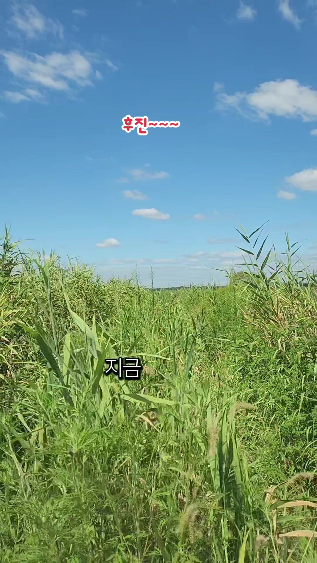 @심심해