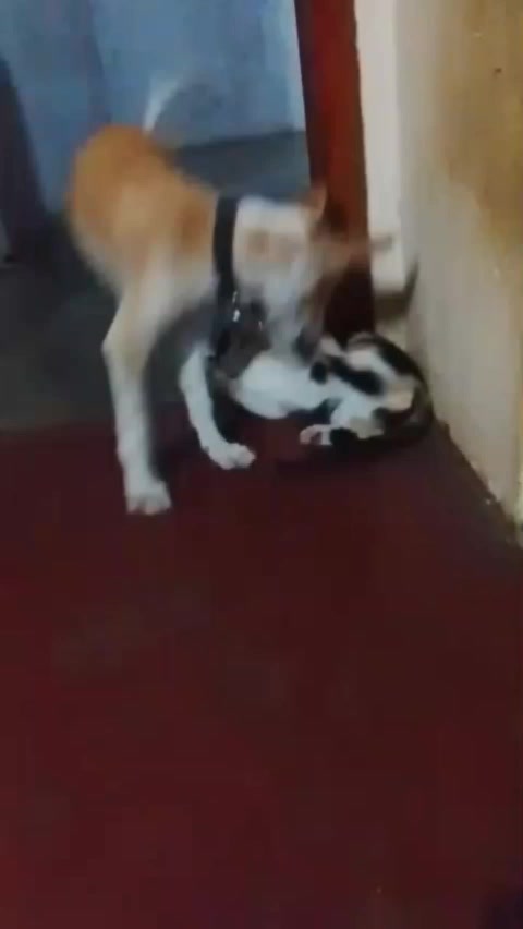 @உண்மைக்கு+ஒருவன்(மு/வாய்க்கால்