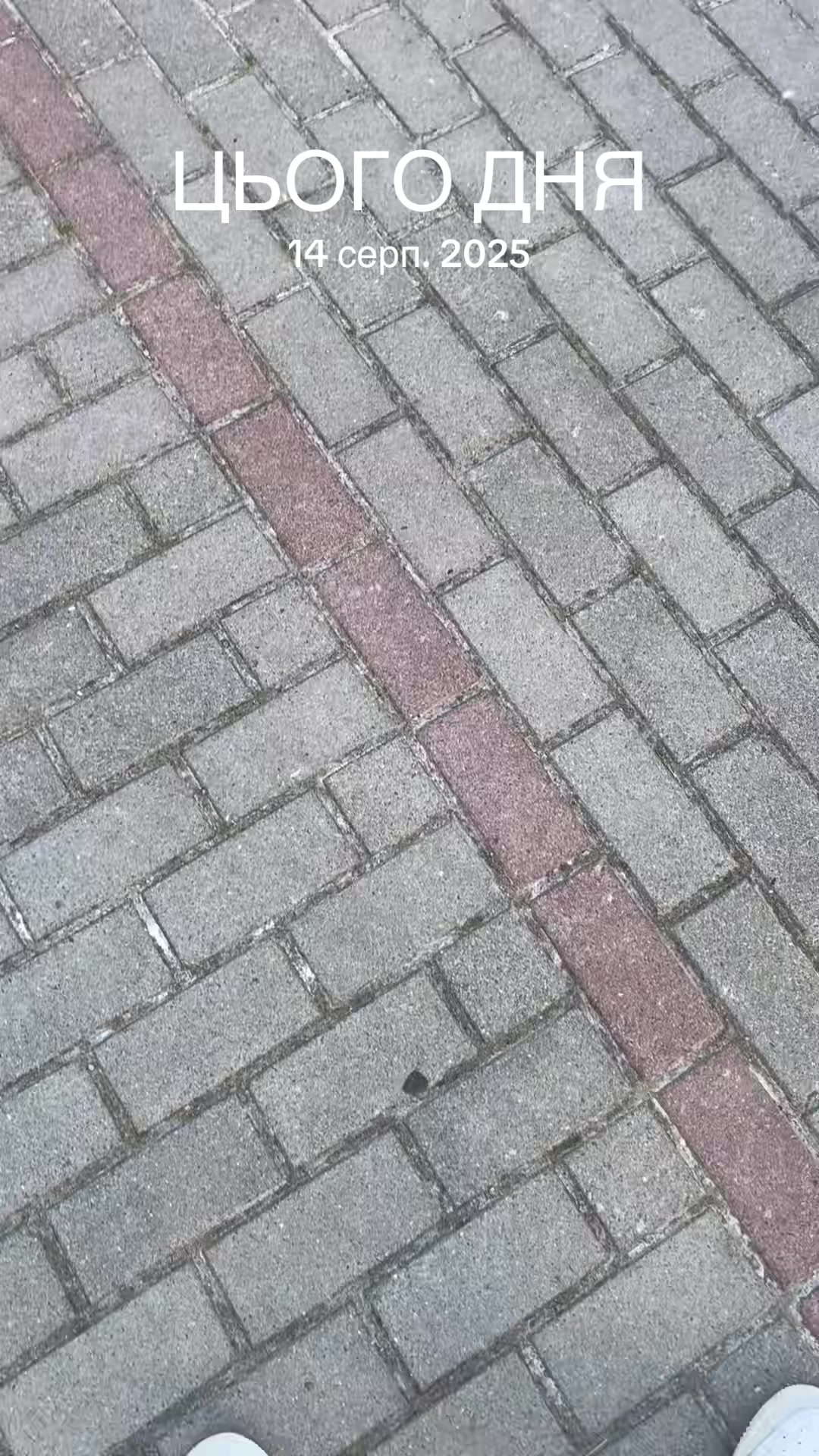 @Таракан