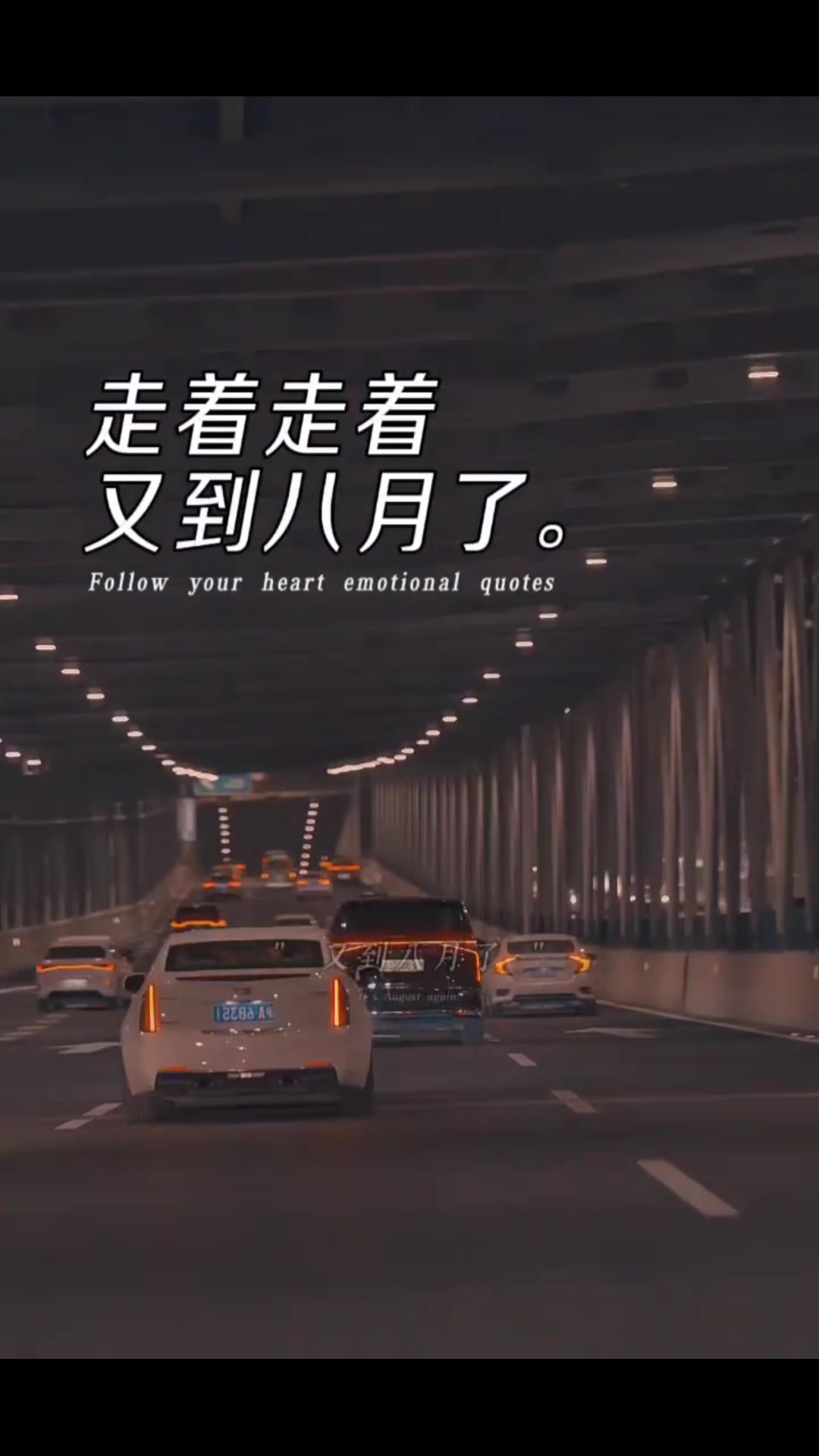 @谁的青春不迷茫