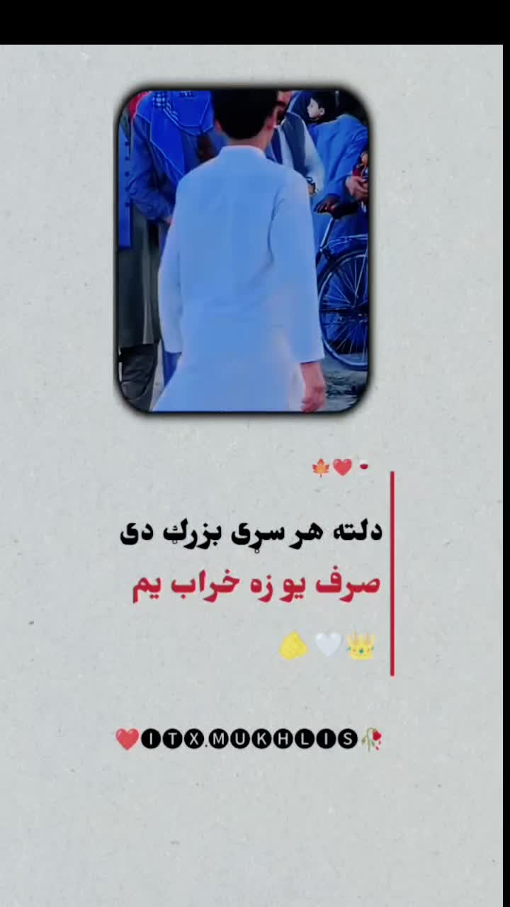 @user44550523118