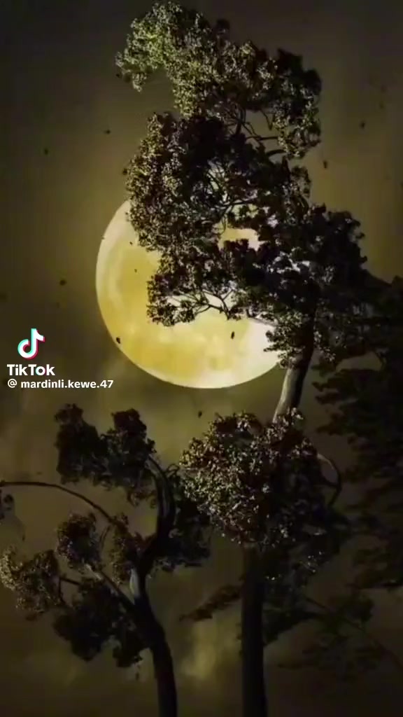 @halil_ULUSOY63