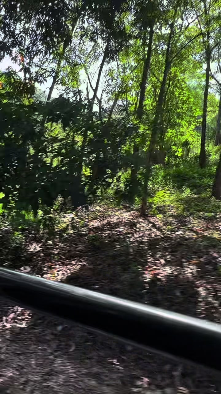 @VARADHA