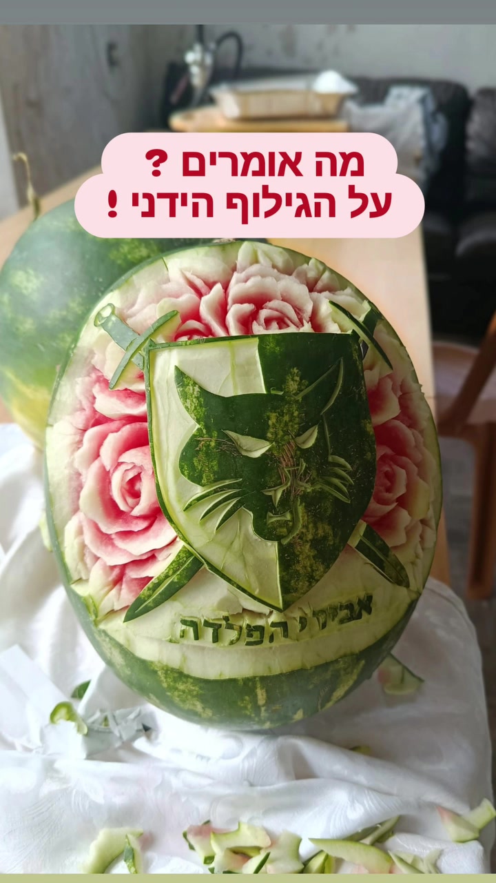 @טיקטוק_אהרון גרוס_חיילים