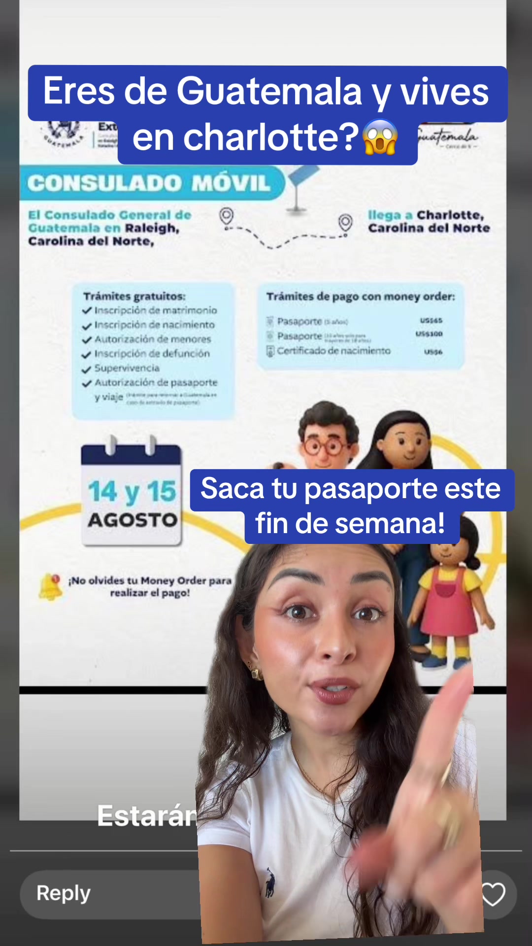 @dienerlawabogados