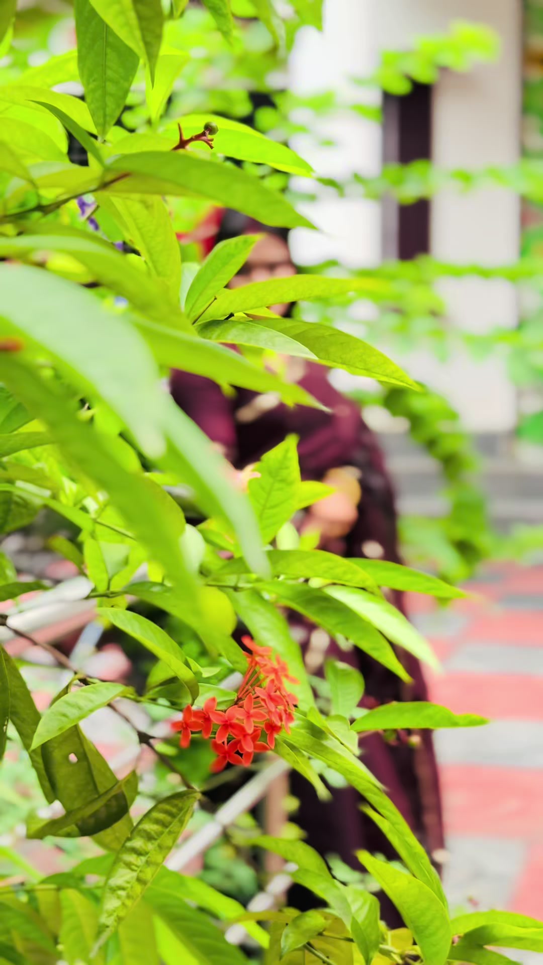 @𝐏𝐨𝐫𝐢(ভাগ্যবতী)