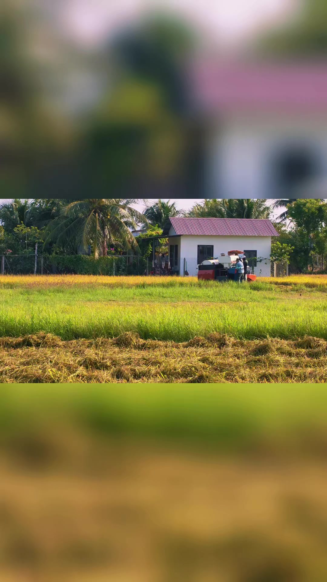 @HOÀNG TỶ