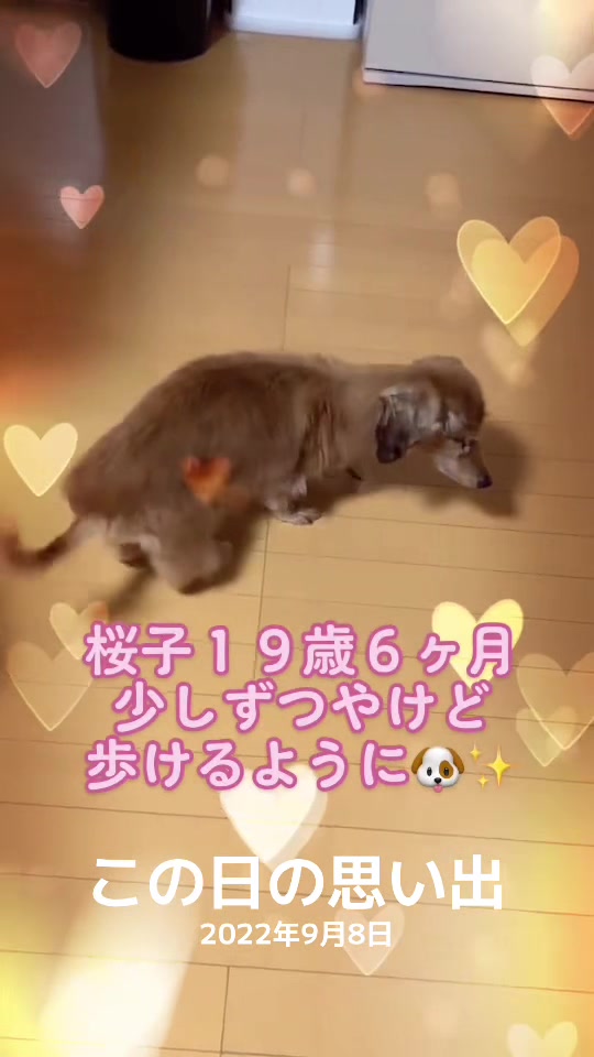 @โ ๐ต๐๐. อ๐ชฝ
