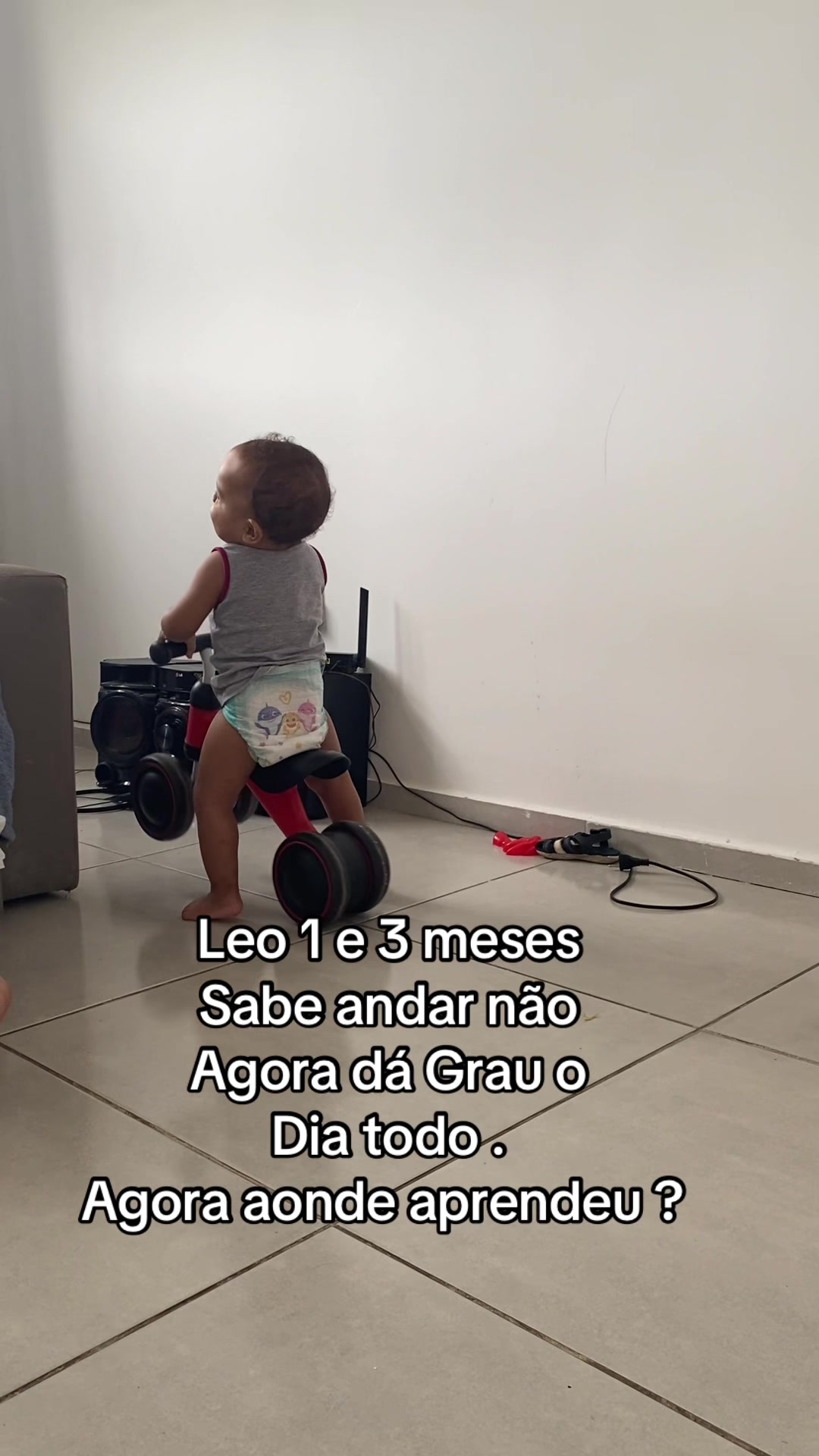 @flavinha8124