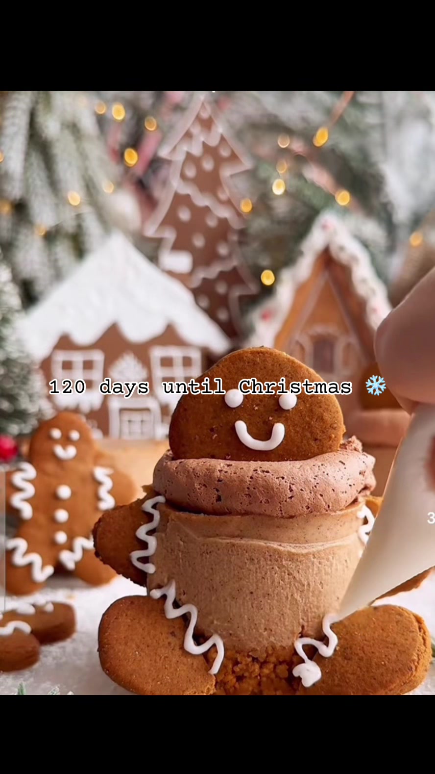 @Winter wonderland