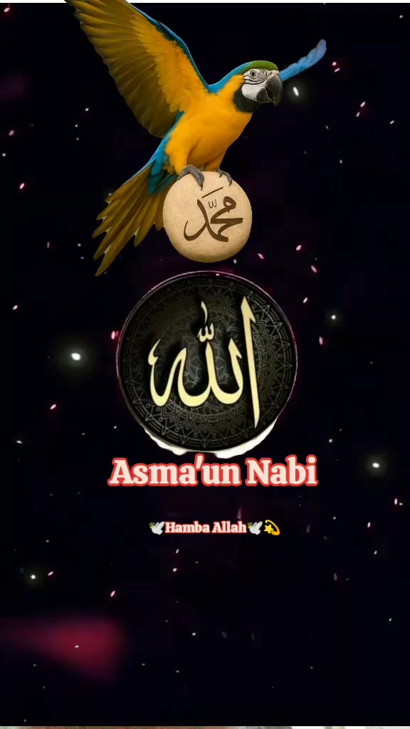 @🌸🕊️Hamba Allah🕊️🌸