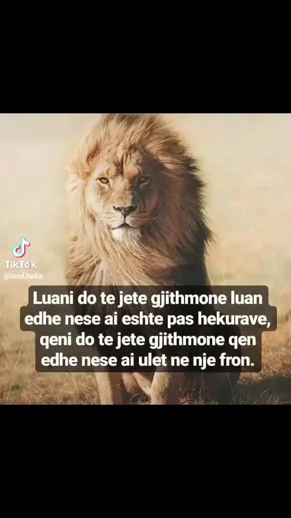 @🇦🇱FIERI.UK🇬🇧