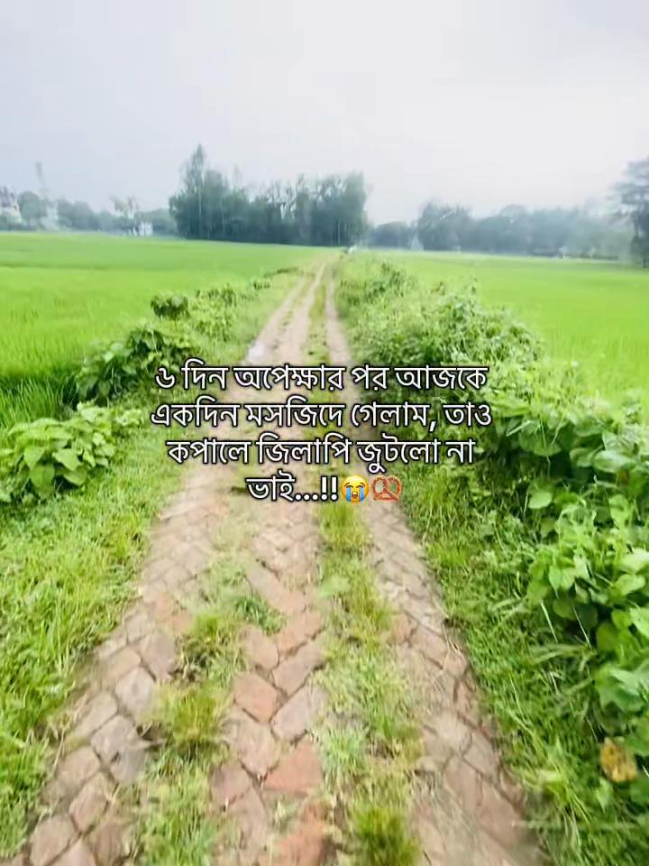 @টিক_টকি 🐸