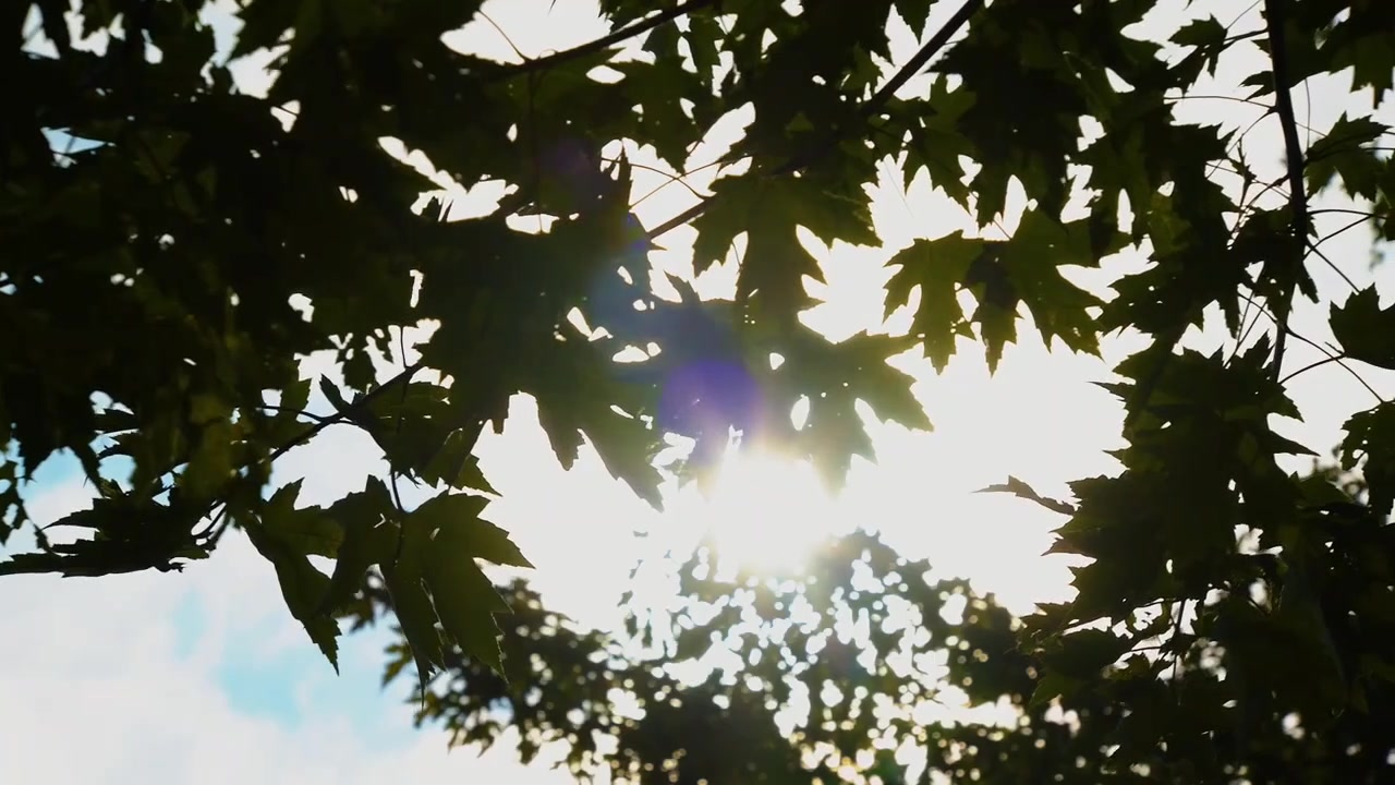 @﷽⟭⟬✧⃝⃝☘︎⃝KM 피트리*•̩̩͙🐹•̩̩͙*⟬⟭