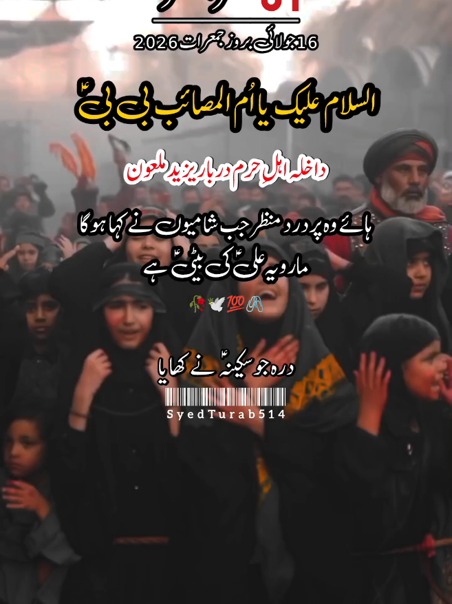 @سید علی ابوتراب ہمدانی